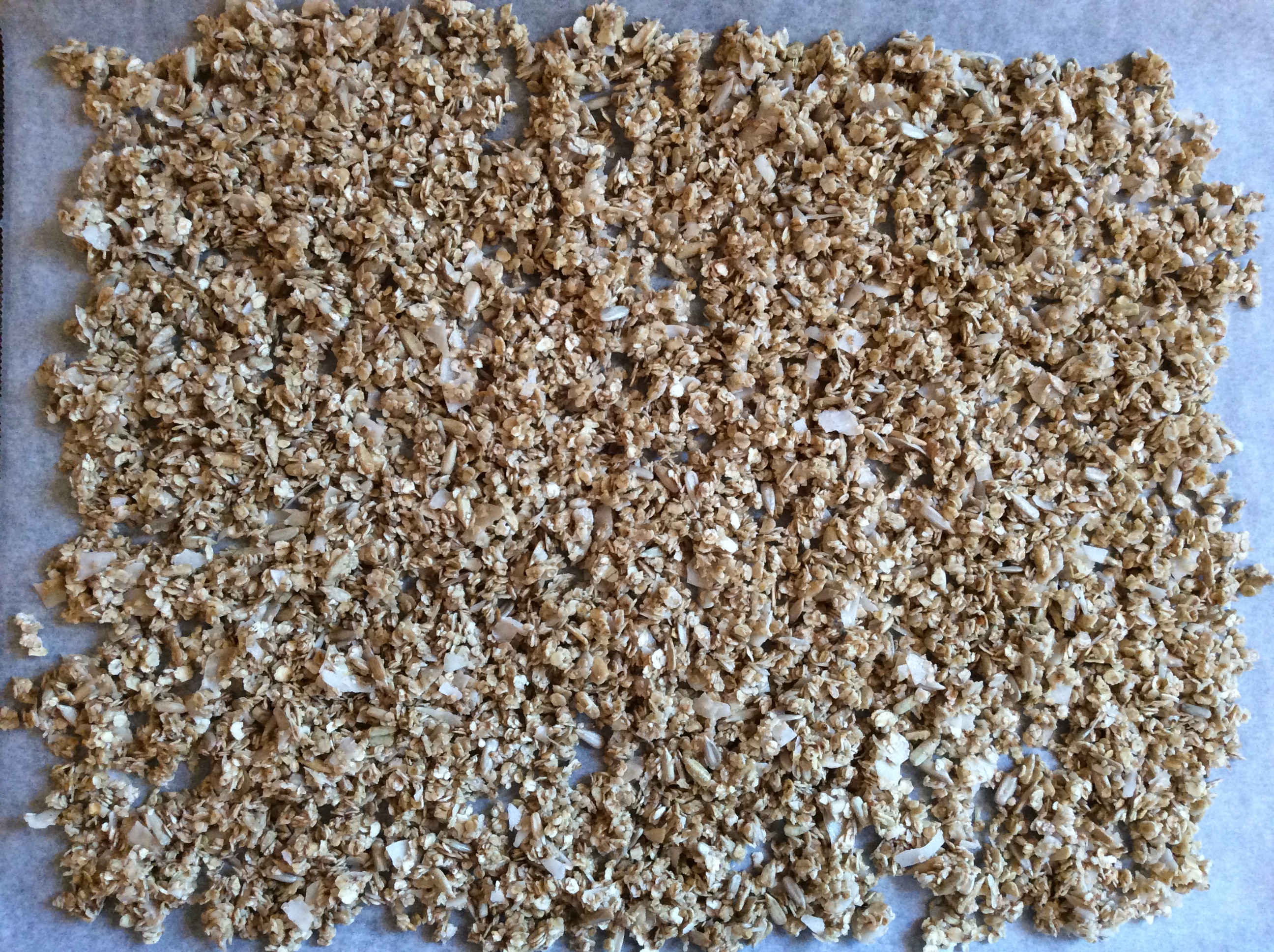 knasende kokos müsli - glutenfri